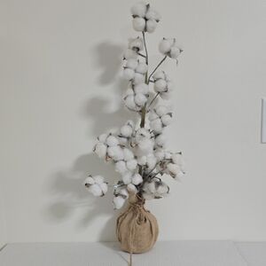 Rustic Cotton Tree with Burlap Base